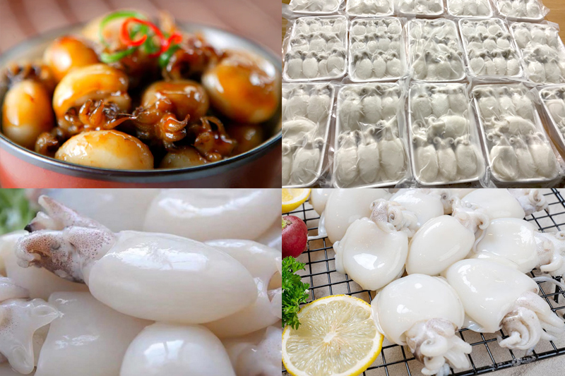 Mực nang nút 10/20